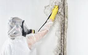 Best Mold Prevention Services in Scottsboro, AL